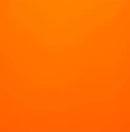 Rolo de Treino para Abdominais com Apoio para Cotovelos